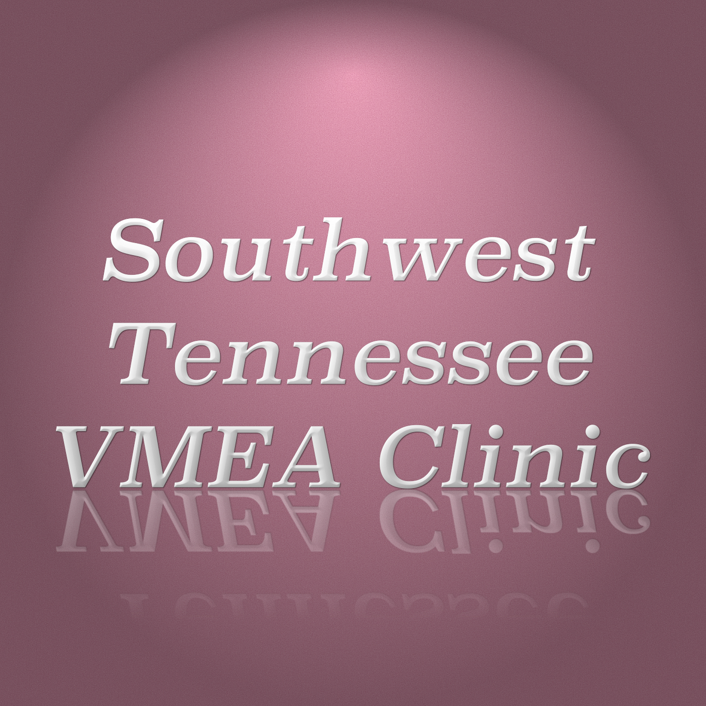 Southwest Tennessee VMEA Clinic